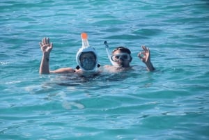 Île aux Bénitiers Buceo con delfines + Comida marinera