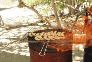 Lancha Rápida Île aux Bénitiers + Nado con Delfines y Almuerzo
