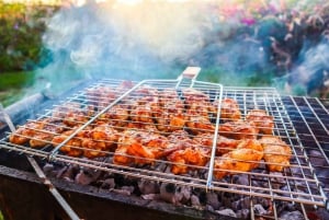 Ilha dos Bénitiers: Nadar com golfinhos e almoço com churrasco