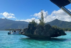 Ile aux Benitiers/ Nuota con i delfini/ Snorkeling/pranzo/