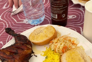 Ile Aux Cerfs: Katamaranfahrt, Insel, Wasserfälle, Mittagessen