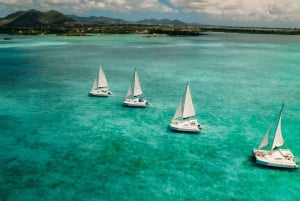 Ile Aux Cerfs: Katamaranfahrt, Insel, Wasserfälle, Mittagessen