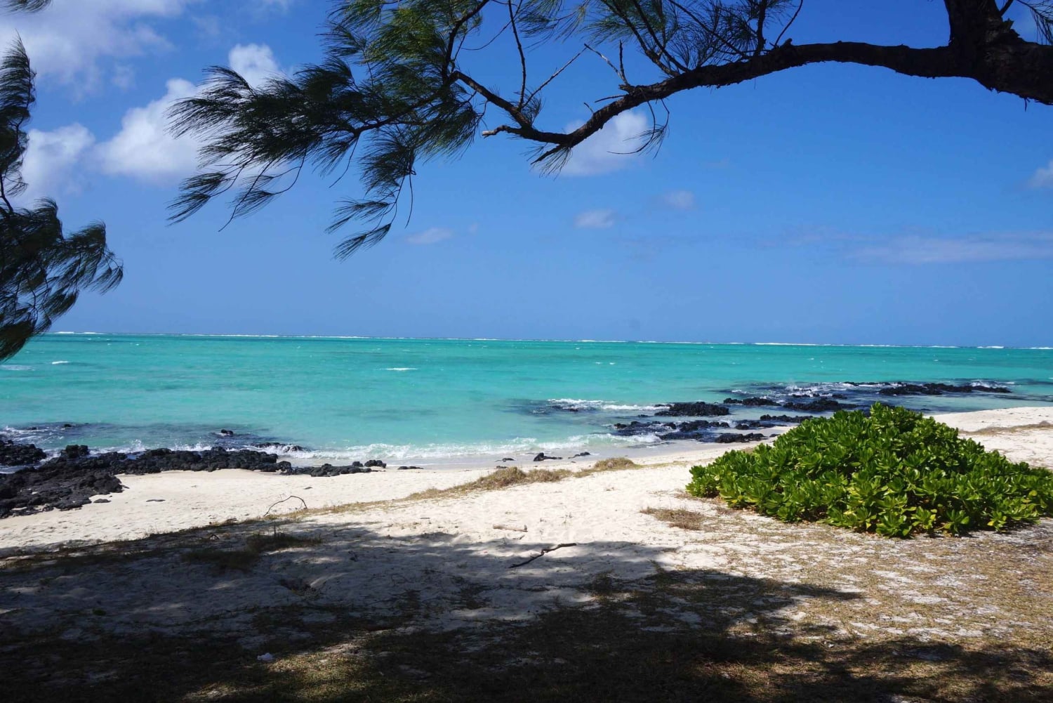 Catamarancruise op Ile Aux Cerfs vanuit Mahebourg