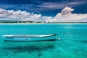 Ile Aux Cerfs Catamaran Cruise seiler fra Mahebourg
