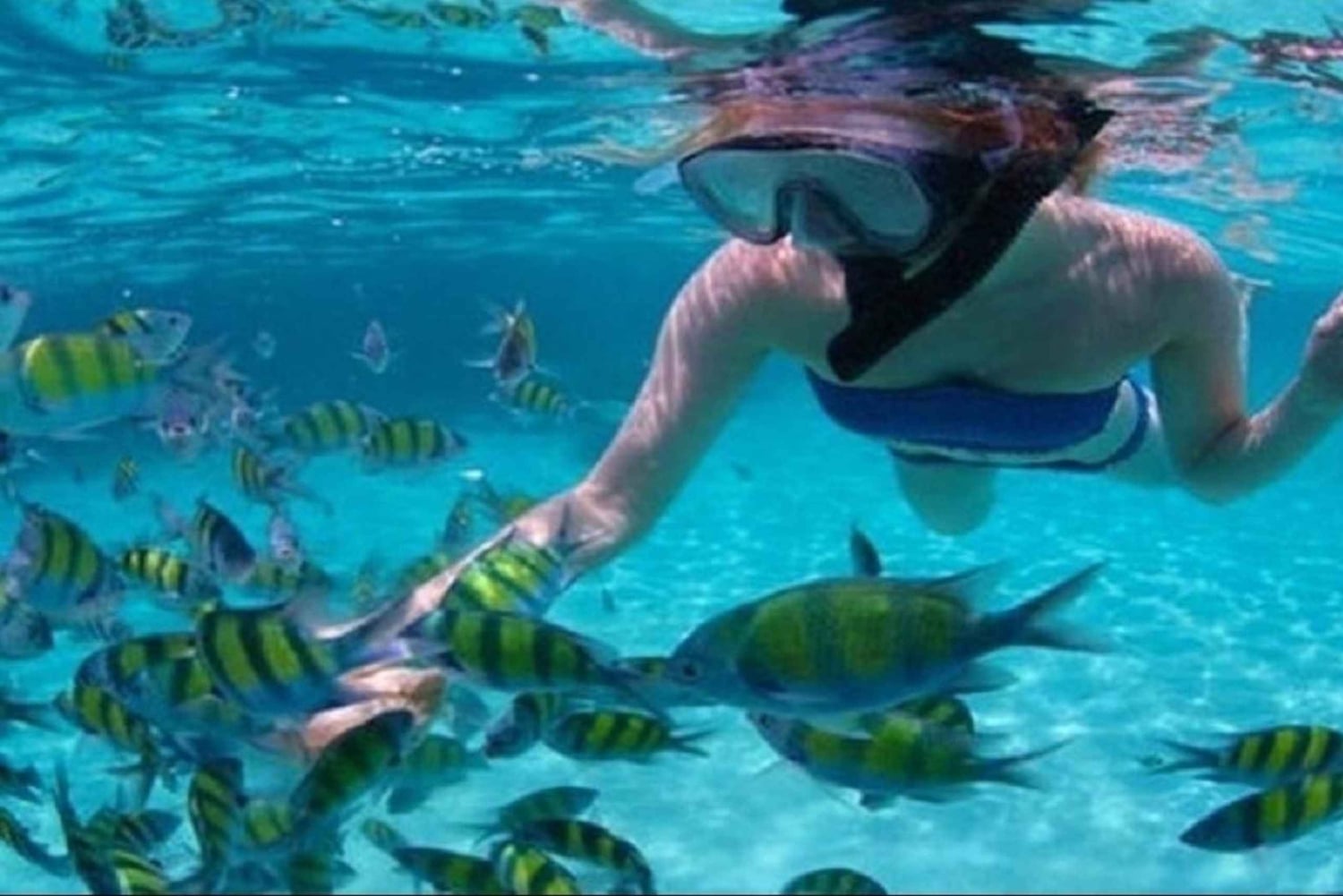 Ile Aux Cerfs Catamaran Cruise with Pick-up/Drop-off & Lunch