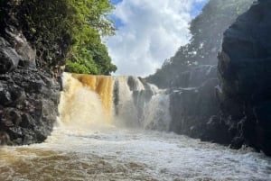 Ile Aux Cerfs katamaraaniristeily, jossa nouto/pudotus ja lounas