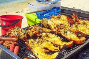 Ile Aux Cerfs katamaraaniristeily, jossa nouto/pudotus ja lounas