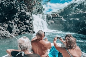 Gita in catamarano sull'Ile Aux Cerfs con pranzo, bevande e trasferimento