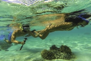 Ile Aux Cerfs Catamaran Cruise & Watervallen - Lunch & Drankjes