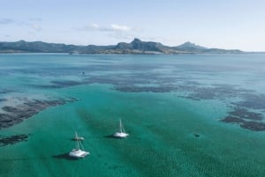 Ile Aux Cerfs Catamaran Cruise & Watervallen - Lunch & Drankjes