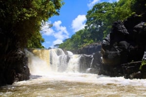 Île aux Cerfs: Heldagscruise med hotellhenting og avlevering