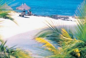 Ile aux Cerfs: saari- ja vesiputousretki pikaveneellä lounaalla