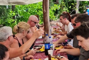 Ile aux Cerfs: saari- ja vesiputousretki pikaveneellä lounaalla