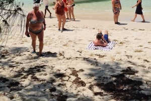 Ile aux Cerfs: saari- ja vesiputousretki pikaveneellä lounaalla