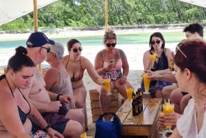 Ile aux Cerfs: saari- ja vesiputousretki pikaveneellä lounaalla