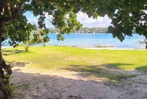 Ile aux Cerfs: saari- ja vesiputousretki pikaveneellä lounaalla