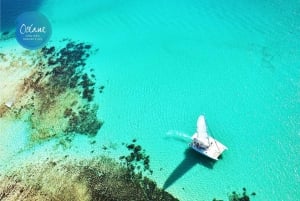 Île aux Cerfs: privé catamarancruise met gastronomische lunch