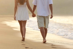 Ile aux cerfs: Piquenique privado, cascata, almoço de praia com churrasco