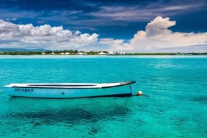 Ile aux cerfs: Piquenique privado, cascata, almoço de praia com churrasco
