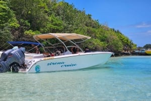 ÎLE AUX CERFS EN HORS-BORD - 5 îles de l'Est avec transfert.