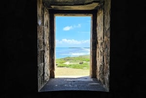 ÎLE AUX CERFS EN HORS-BORD - 5 îles de l'Est avec transfert.
