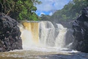 ÎLE AUX CERFS EN HORS-BORD - 5 îles de l'Est avec transfert.