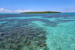 ILE AUX CERFS IN MOTOSCAFO - 5 isole orientali con trasferimento.