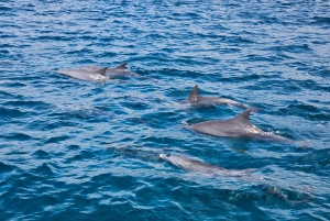 ILE AUX CERFS IN MOTOSCAFO - 5 isole orientali con trasferimento.