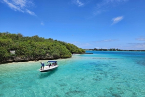 ILE AUX CERFS IN MOTOSCAFO - 5 isole orientali con trasferimento.