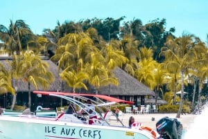 Ile aux Cerfs Speedboat Trip & Transport: Private or Shared