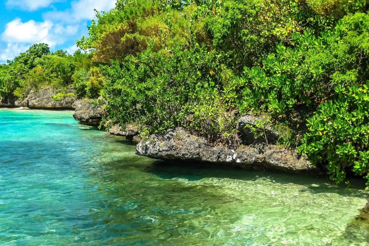 Ile aux Cerfs Speedboat Trip with Pickup and BBQ Lunch