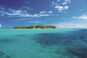 Ile aux Cerfs Speedboat Trip with Pickup and BBQ Lunch