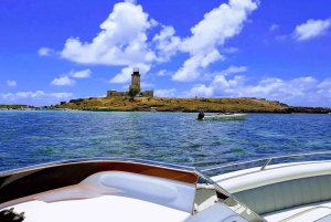 Ile aux Cerfs Speedboat Trip with Pickup and BBQ Lunch