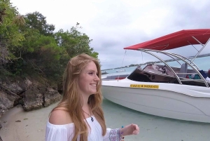 Ile aux Cerfs Speedboat Trip with Pickup and BBQ Lunch