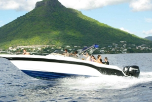 Ile aux Cerfs Speedboat Trip with Pickup and BBQ Lunch