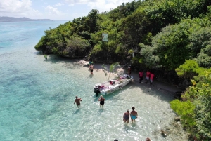 Ile aux Cerfs Speedboat Trip with Pickup and BBQ Lunch