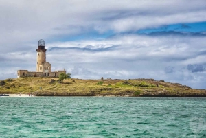 Ile aux Cerfs Speedboat Trip with Pickup and BBQ Lunch