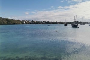 Mauritius: Ile aux cerfs, Wasserfälle und BBQ Bootstag