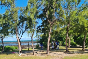 Ile d'Ambre & Ile Aux Bernaches Fday con almuerzo y snorkel