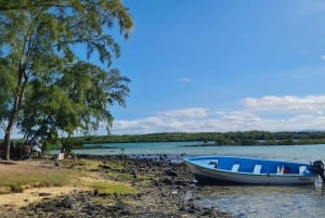 Ile d'Ambre & Ile Aux Bernaches Fday con almuerzo y snorkel