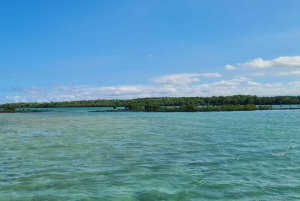 Ile d'Ambre & Ile Aux Bernaches Fday con almuerzo y snorkel