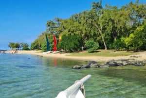 Ile d'Ambre & Ile Aux Bernaches Fday con almuerzo y snorkel