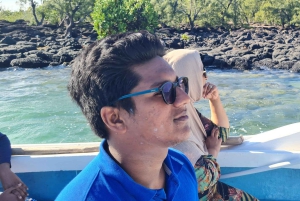 Ile d'Ambre & Ile Aux Bernaches Fday con almuerzo y snorkel