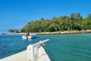 Ile d'Ambre & Ile Aux Bernaches Fday con almuerzo y snorkel