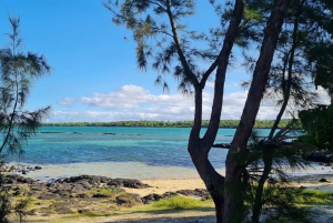 Ile d'Ambre & Ile Aux Bernaches Fday con almuerzo y snorkel