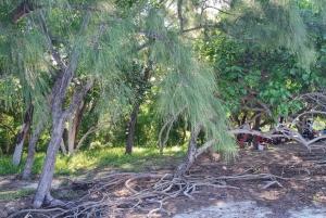 Ile d'Ambre & Ile Aux Bernaches Fday con almuerzo y snorkel