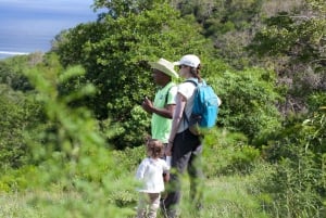 Île Maurice: Randonnée Guidée au Sommet du Morne Brabant