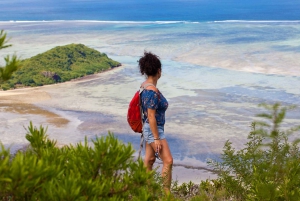 Île Maurice: Randonnée Guidée au Sommet du Morne Brabant