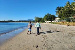 Ile Aux Benitiers: tour privato alla Roccia di Cristallo e pranzo sull'isola
