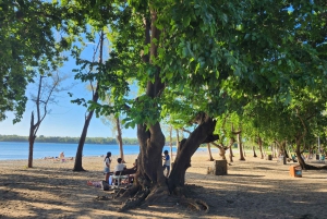 Ile Aux Benitiers: tour privato alla Roccia di Cristallo e pranzo sull'isola